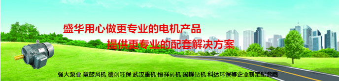 環保設備專用電機