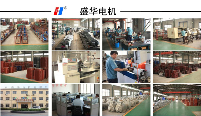山東電機(jī)廠,玉米脫粒設(shè)備專用電機(jī),電機(jī)定制 山東電機(jī)廠,玉米脫粒設(shè)備專用電機(jī),電機(jī)定制