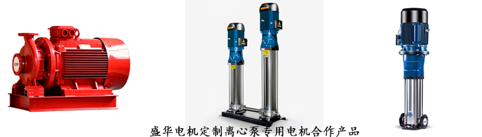 山東盛華電機生產廠家,離心泵專用電機,電機定制