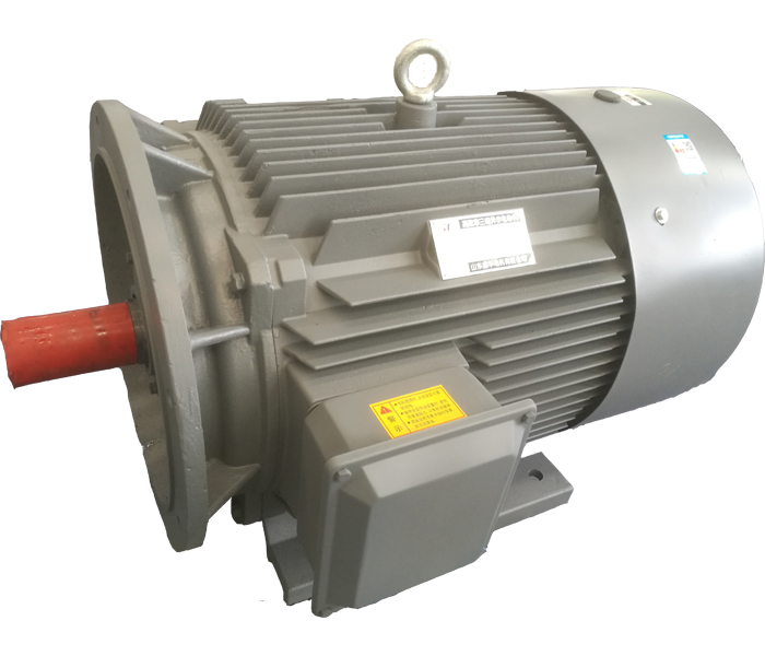 聊城電機廠,電機生產(chǎn)廠家,高效節(jié)能電機