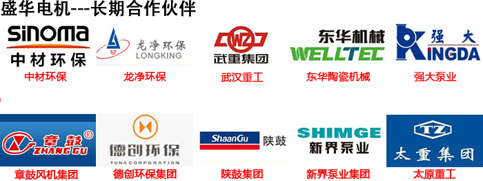 山東聊城盛華電機生產廠家,高效節能電機,電機頻率