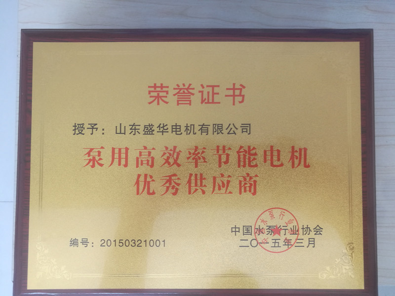  盛華電機(jī)公司資質(zhì)榮譽(yù)《泵用電機(jī)優(yōu)秀供應(yīng)商》