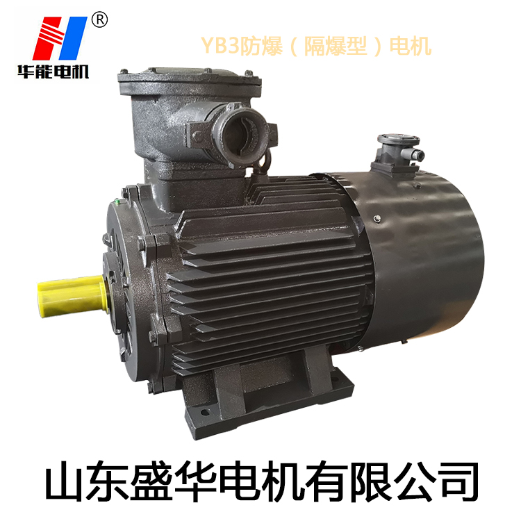 山東變頻電機,電機生產(chǎn)廠家,大功率防爆電機,電機防護等級