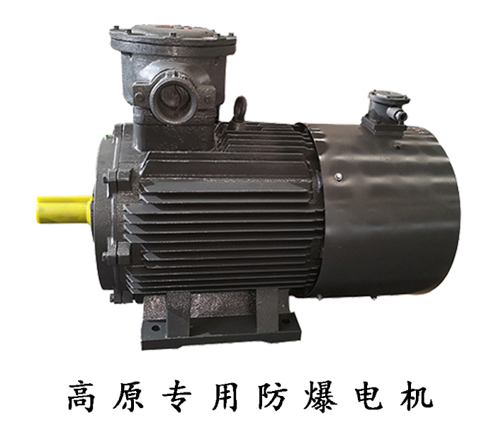 高原專用防爆電機