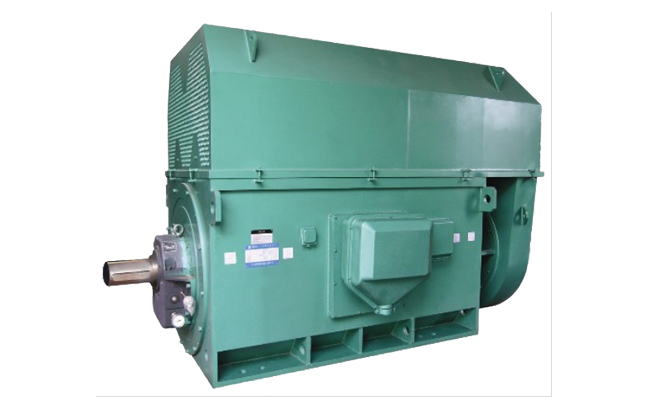 山東電機(jī)廠,電機(jī)生產(chǎn)廠家,大功率電動(dòng)機(jī),三相電動(dòng)機(jī)