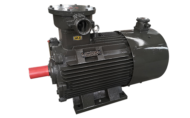 山東防爆電機(jī)廠,變頻電機(jī),防爆電機(jī),變頻防爆電動(dòng)機(jī)