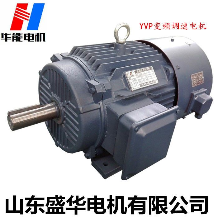 山東電機廠,電機生產廠家,高效電機,變頻電機