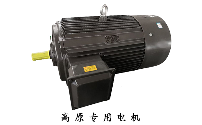 山東電機(jī)廠,電機(jī)生產(chǎn)廠家,三相異步電動(dòng)機(jī),電動(dòng)機(jī)