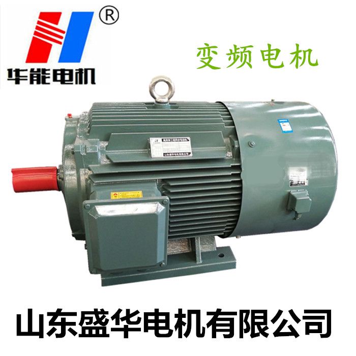 山東電機廠,電機生產廠家,三相異步電機,變頻電機