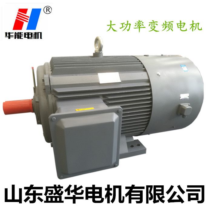山東電機廠,三相異步電動機,調速電機,電動機