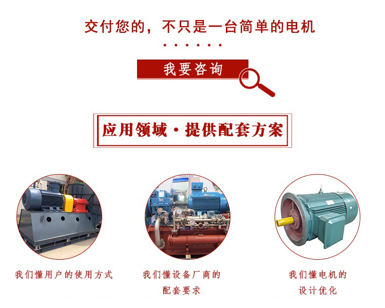 山東電機廠,電機生產(chǎn)廠家,大功率電機,戶外電機
