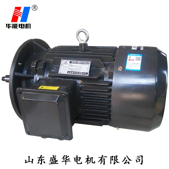 山東電機(jī)廠(chǎng),盛華電機(jī),耐高溫電動(dòng)機(jī),三相異步電機(jī)