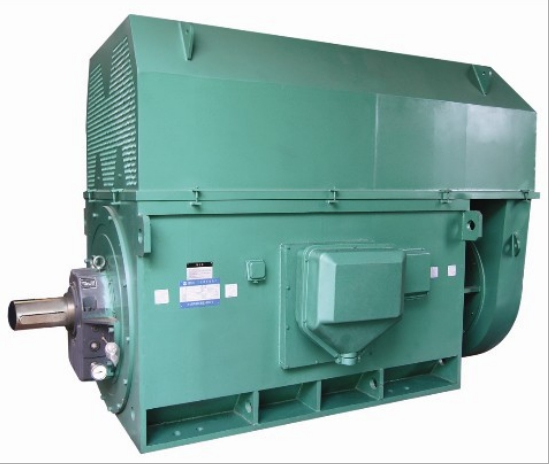 山東電機生產廠家高壓電機