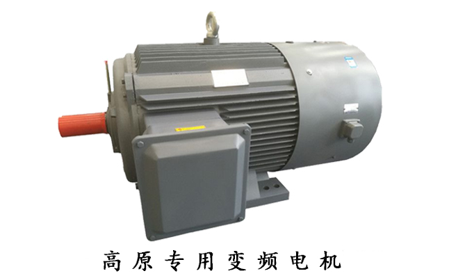 山東盛華高原專用變頻電機