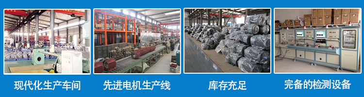 山東盛華電機(jī)生產(chǎn)廠家