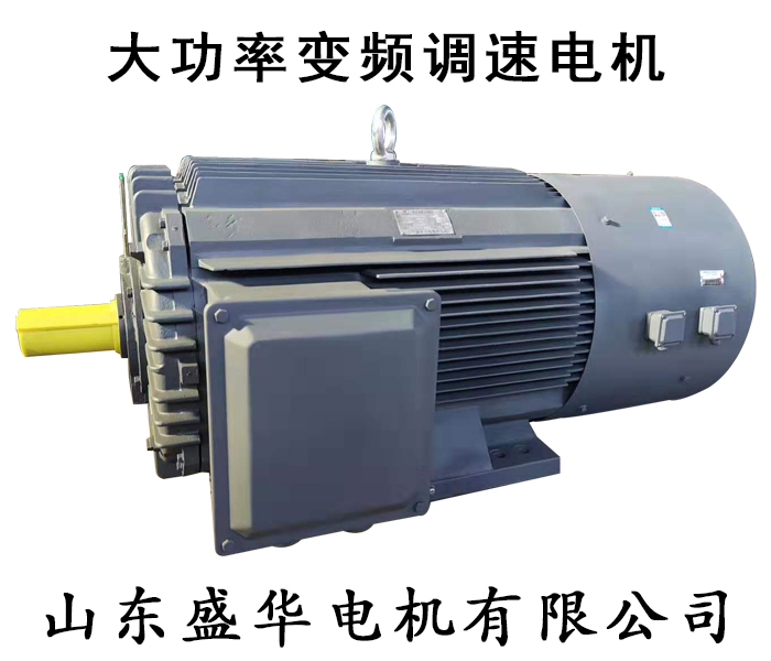 山東電機(jī)廠-大功率電機(jī)