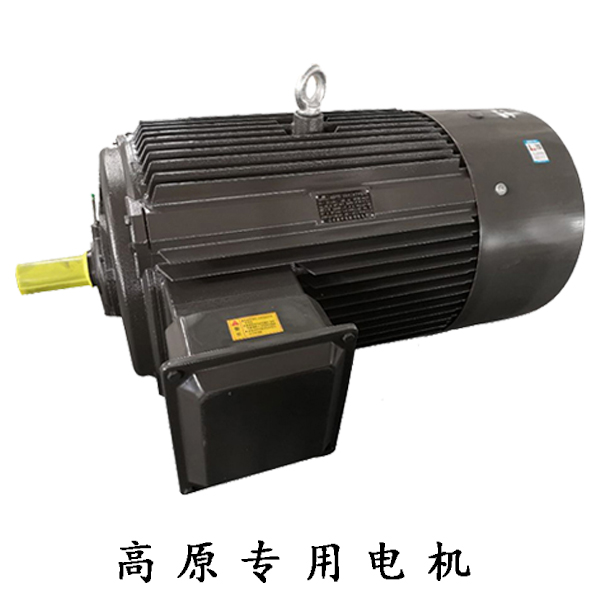 高原專用電機
