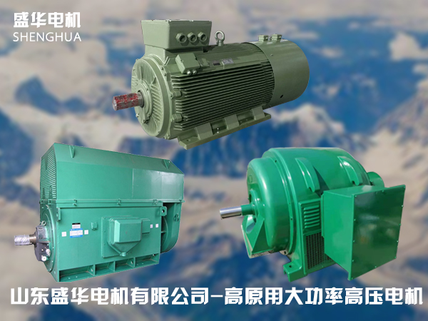 山東高原電機(jī)廠-高原專用高壓電機(jī)